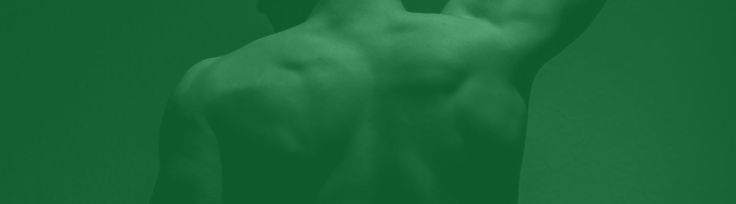 Shoulder